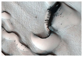 Dunes Dubbed Kolhar
