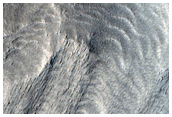 Debris Flow

