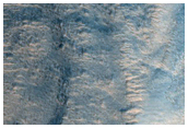 Giant Polygons in Acidalia Planitia
