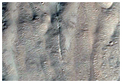 Holden Crater Apron Region of Fan
