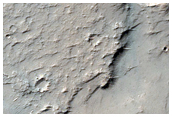 Exposed Layers
