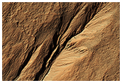 How Old are Martian Gullies?