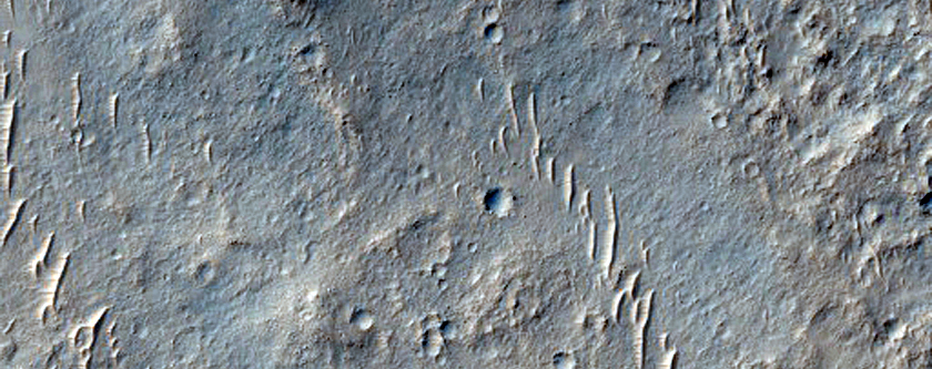 Wrinkle Ridges in West Meridiani Planum 
