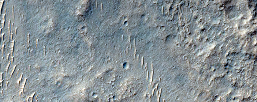 Wrinkle Ridges in West Meridiani Planum 