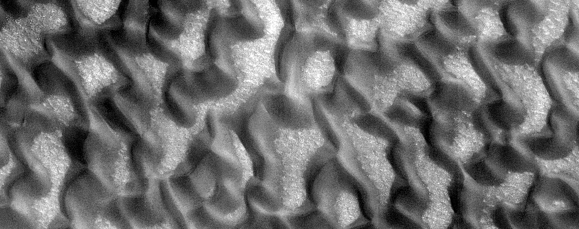 Dunes Dubbed Laguna
