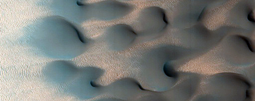 Un campo denso de dunas en Scandia Cavi