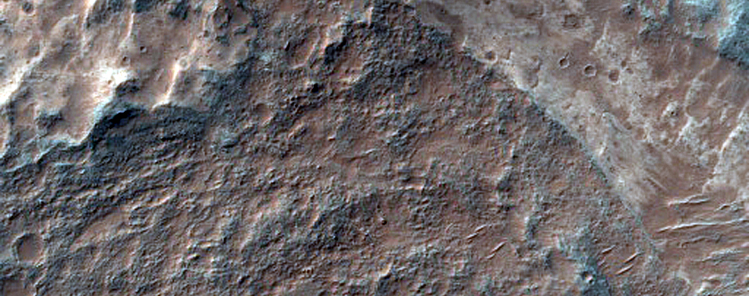 Monitoring Valles Marineris Dark Dunes