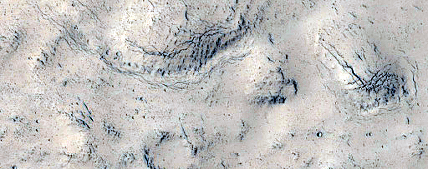 Topograffeg Ddiddorol yn Elysium Planitia