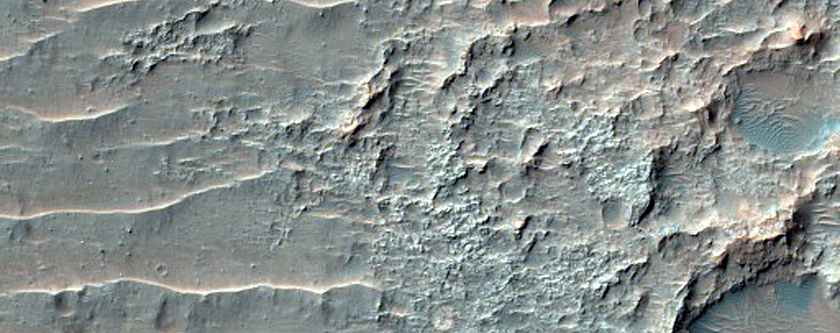 Corrugated Surface Texture as Substrate among Dark Aeolian Dunes