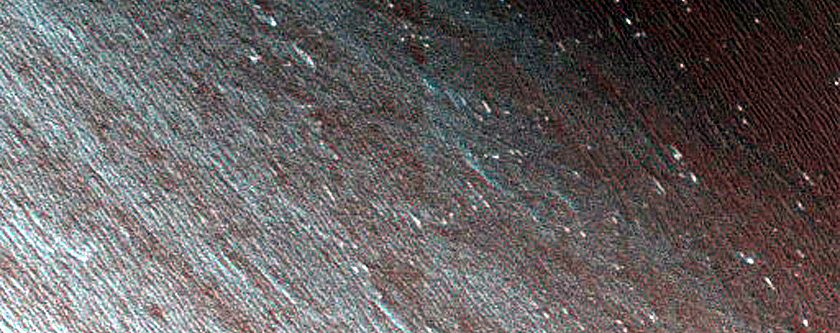 Sustained Bright Patches in North Polar Region
