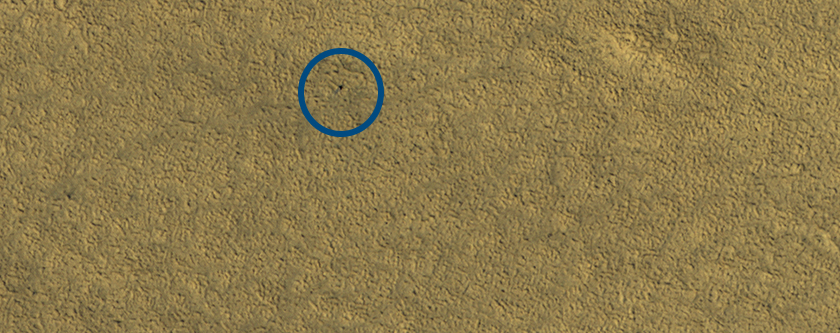 The Phoenix Landing Site, 5 Mars Years Later