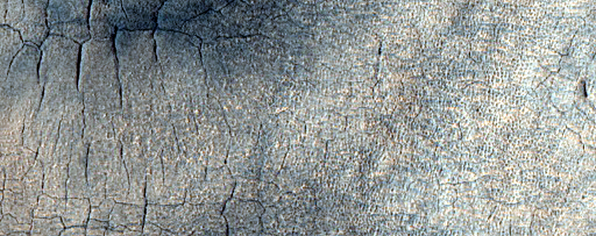 Scalloped Terrain in Far Western Utopia Planitia
