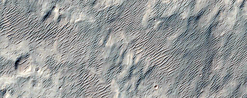 Fan Surface in Holden Crater
