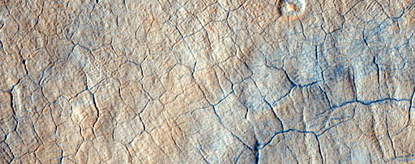 Scalloped Erosion around Circular Depression in Utopia Planitia
