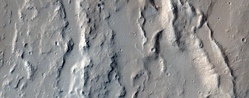 Wrinkle Ridge on Olympus Mons
