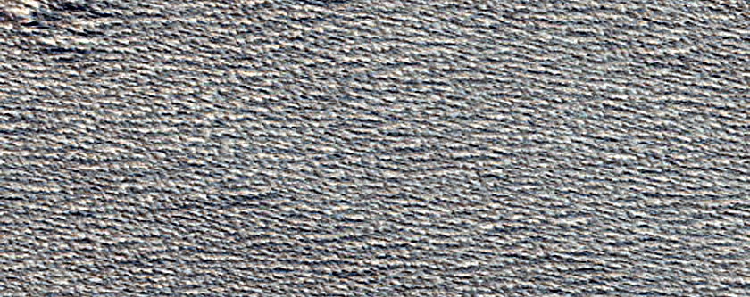 Monitoring New Impact Site
