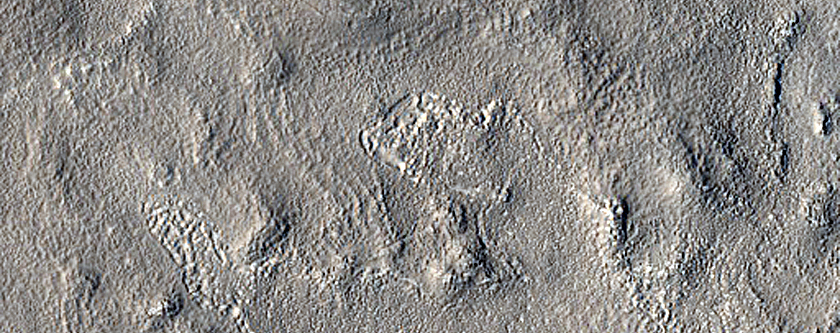 Candidate Red Dragon Landing Site West of Erebus Montes
