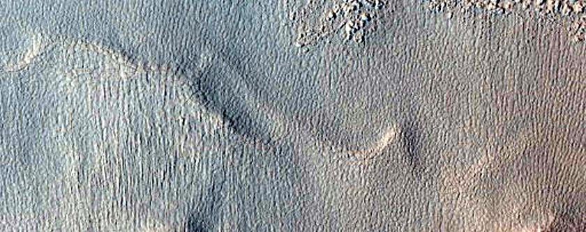 Flow in Protonilus Mensae
