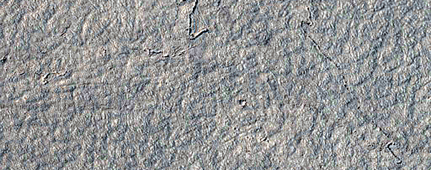 Platy-Ridged Lava
