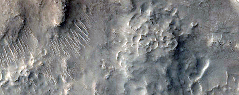 Layered Material within Small Crater in Nilosyrtis Mensae
