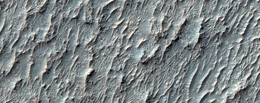 Crater Interior with Sinuous Ridges and Light-Toned Surfaces

