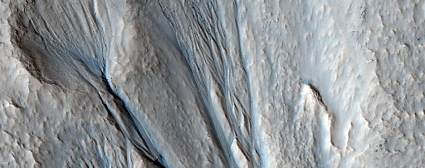Gully Monitoring
