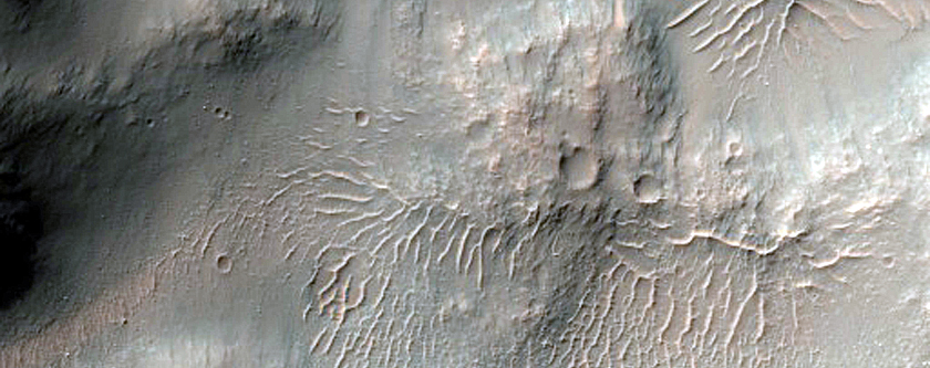 Crater Next to Crater with Dark Gully Deposits
