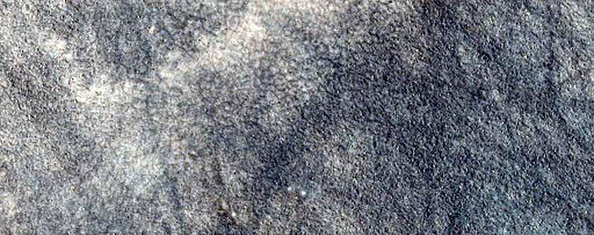Mottled Terrain
