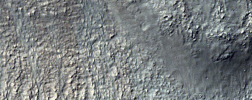 Gully Monitoring
