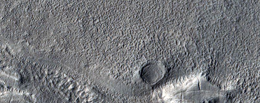 Layered Features in Brain Terrain in Arabia Terra
