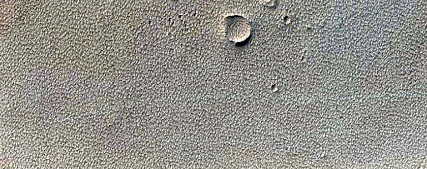Monitoring New Impact Site
