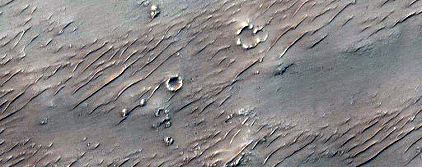 Monitoring New Impact Site
