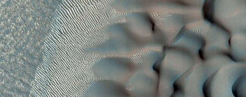 Dune Field in Crater Near Iaxartes Tholus
