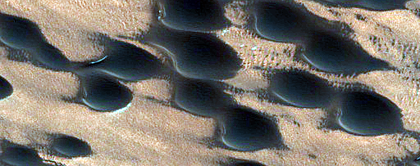 Barchan Dune Source Monitoring