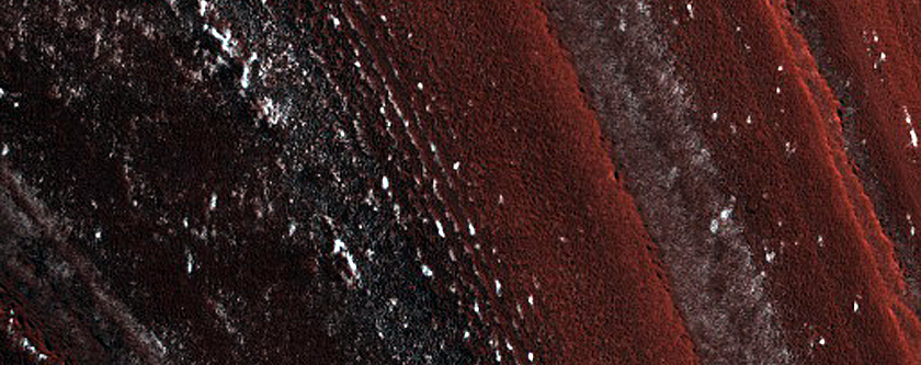 North Polar Trough
