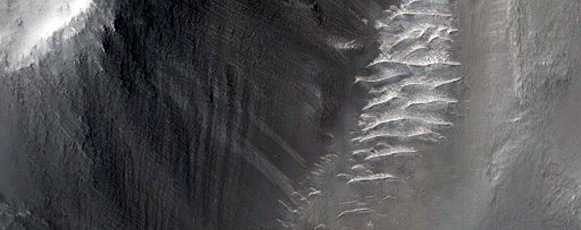 Possible Fan-Like Form in Crater in North Arabia Terra
