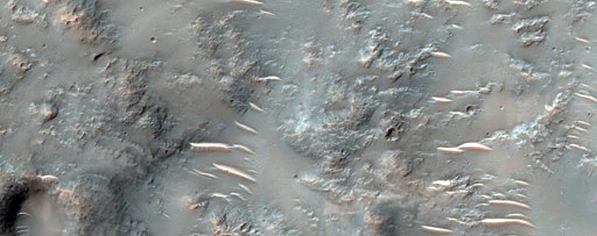 Phyllosilicates in the Ejecta of a Small Crater South of Isidis Planitia
