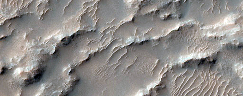 Landslide or Large Debris Flow in Melas Chasma