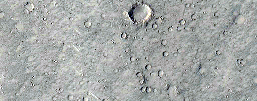 Secondary Rays from Wiltz Crater
