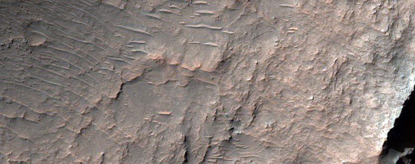 Rocky Area
