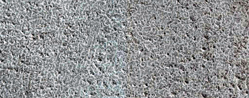 Terrain Sample
