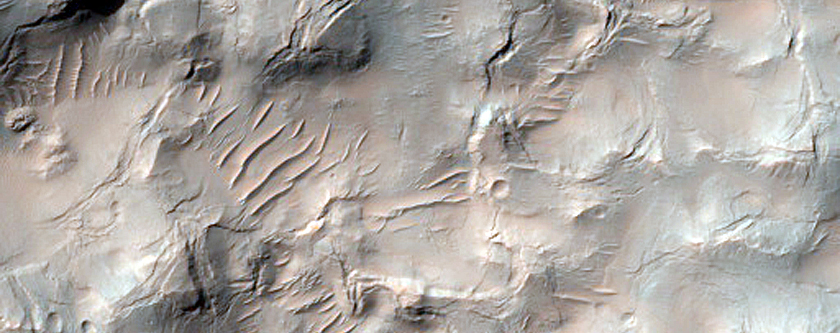 Nirgal Vallis
