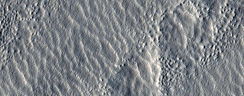 Crater with Gullies and Icy Flows
