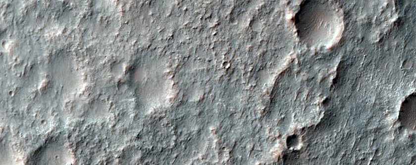Terrain Sample
