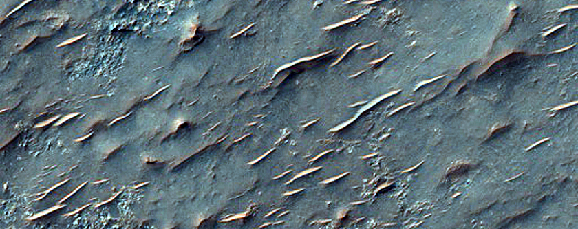 Diverse Bedrock in Northern Hellas Planitia
