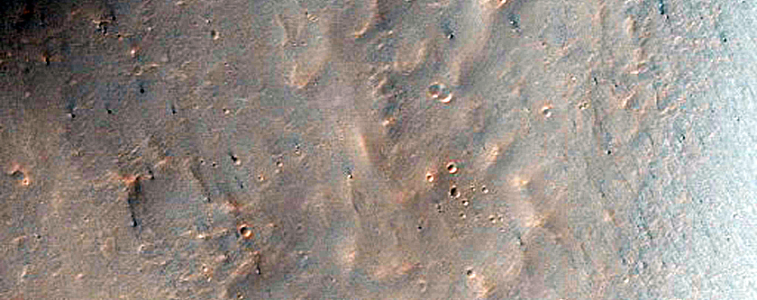 Bedrock in Eos Chasma
