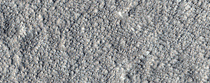 Acidalia Planitia Dust Devil Region
