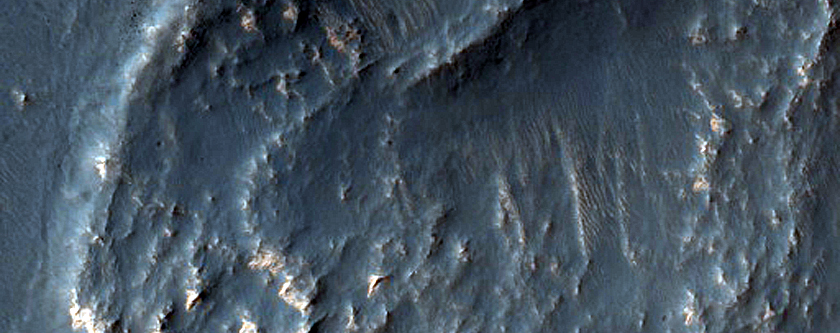 Terrain Sample
