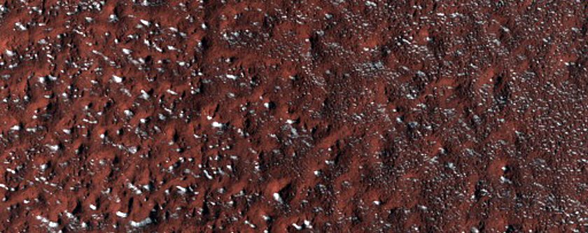 Terrain Sample
