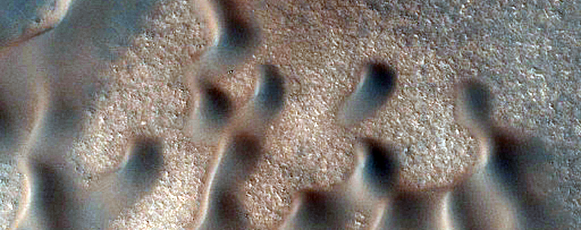 Frost-Covered Dunes